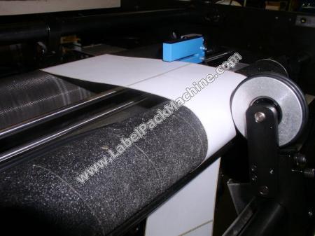 Photo BUNCH BUNCH SERVO